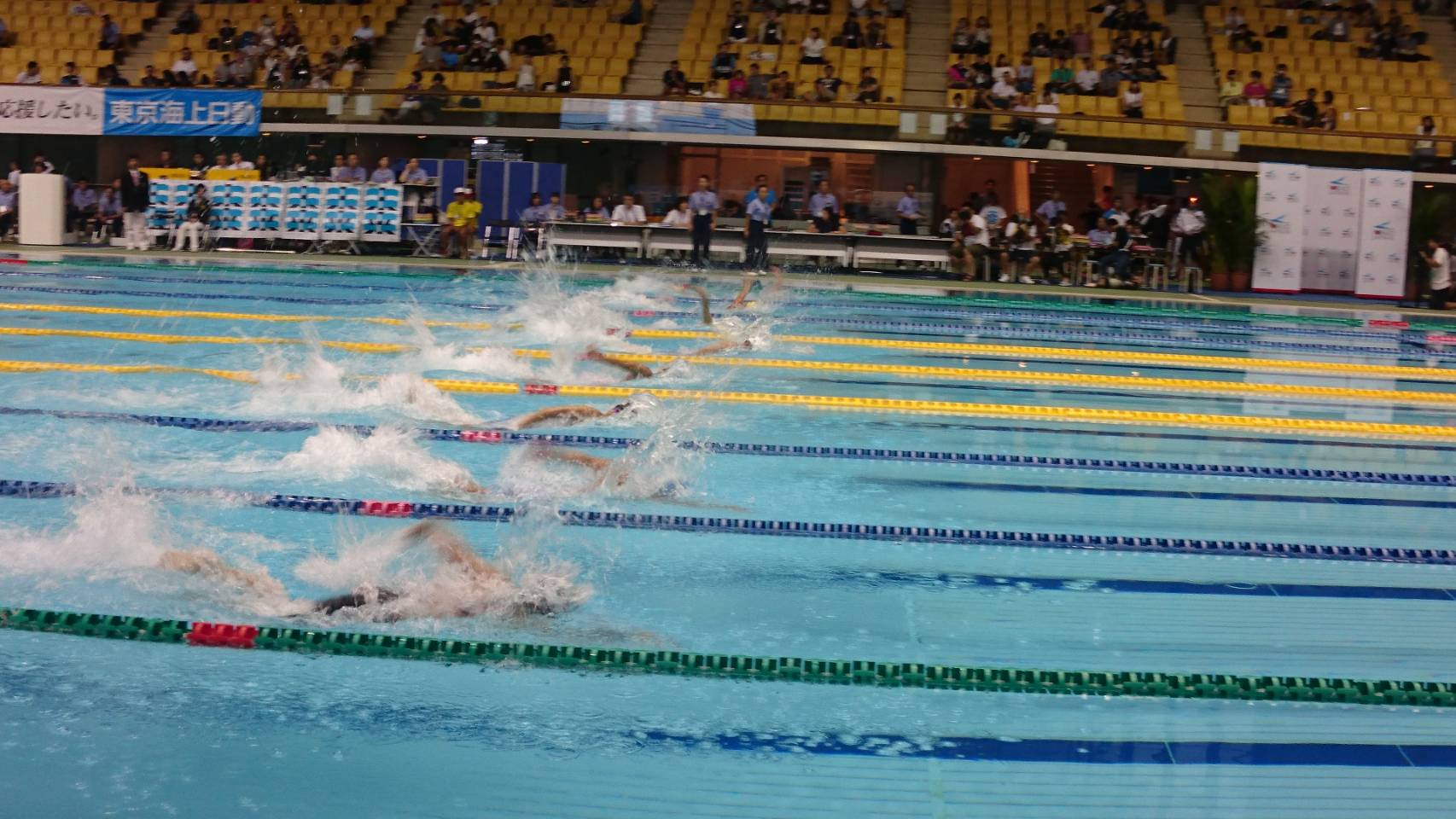 速報 ジュニア 2019 オリンピック 水泳