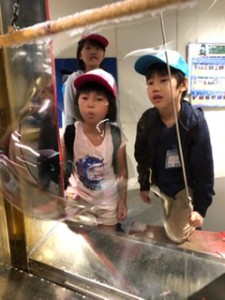 F025DC18-FD6B-4CDC-9C65-80B8AAD5E2D9