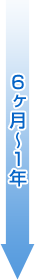 期間：６ヶ月～１年