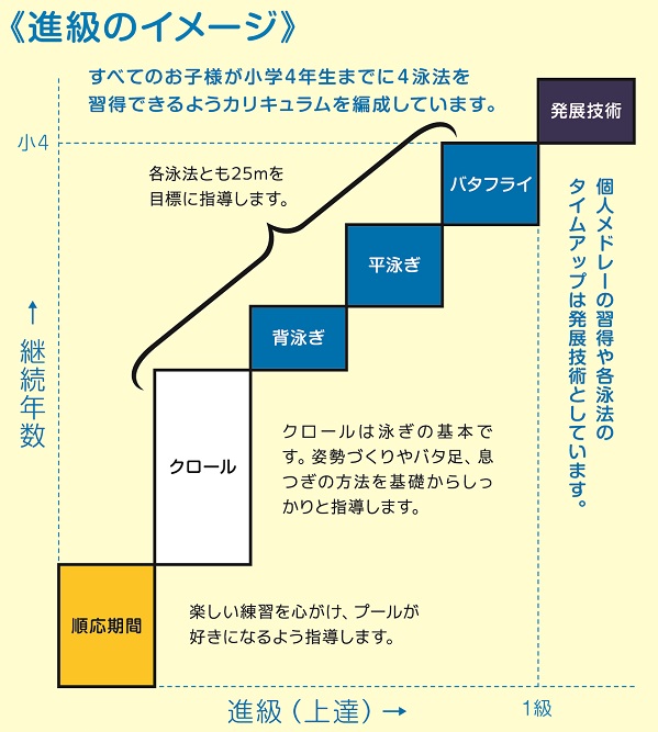 ニスポご入会後の未来図